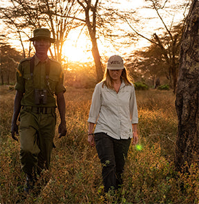 Helping Restore the Kimana Wildlife Corridor Through the Power of Bees