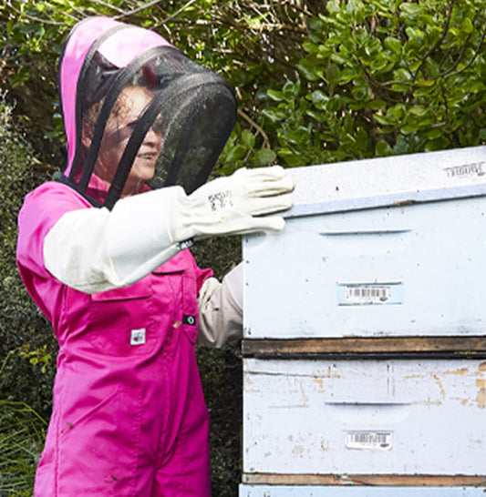 Backyard Beekeeping 101 - All Your Questions Answered