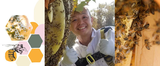 Meet The Beekeeper Behind Bee Rescue: Dan Luong