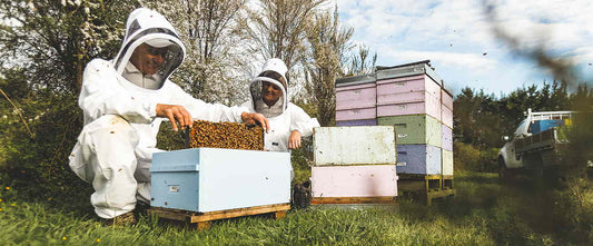 Comvita Beekeeper Spotlight: Meet Kelly