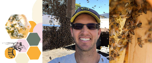 Meet The Beekeeper Behind Bee Rescue: Nick Wigle