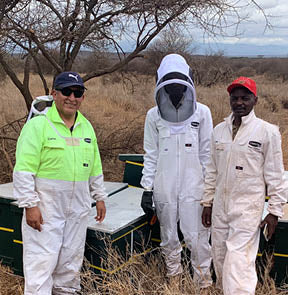 My Comvita adventure – caring for bees in Kenya