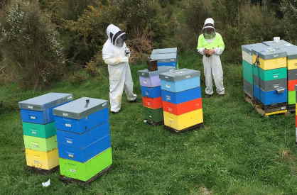 Comvita Beekeeper Spotlight: Meet Volodymyr