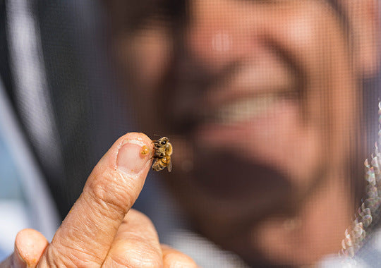 bee on finger