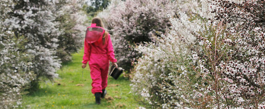 10 Fascinating Facts About Manuka