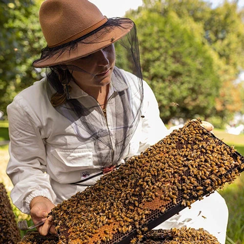 Comvita’s B Corp Certification and Why It Matters