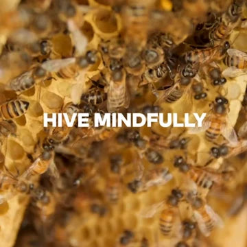 Hive Mindfully: A Documentary Short Film
