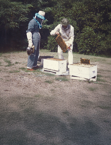 two beekeepers tending a bee hive and holding a bee frame