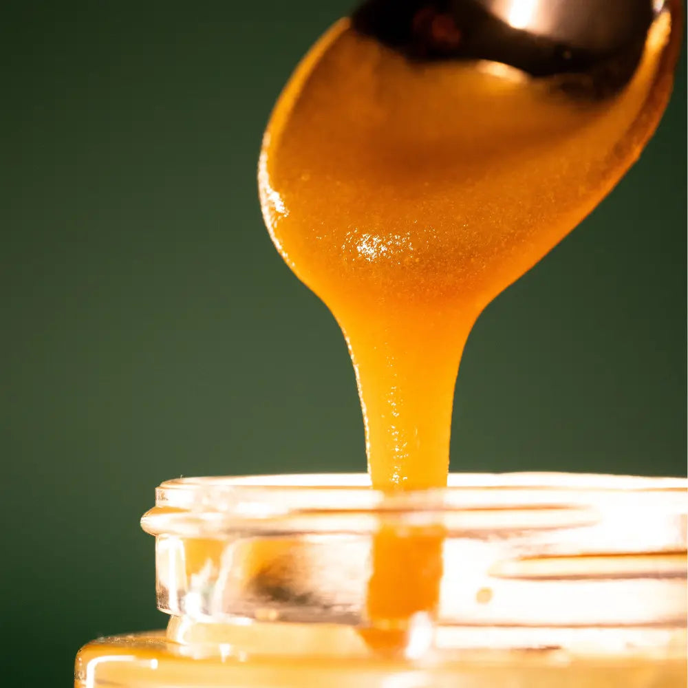 Manuka honey being drizzled from a spoon into a jar with a green background