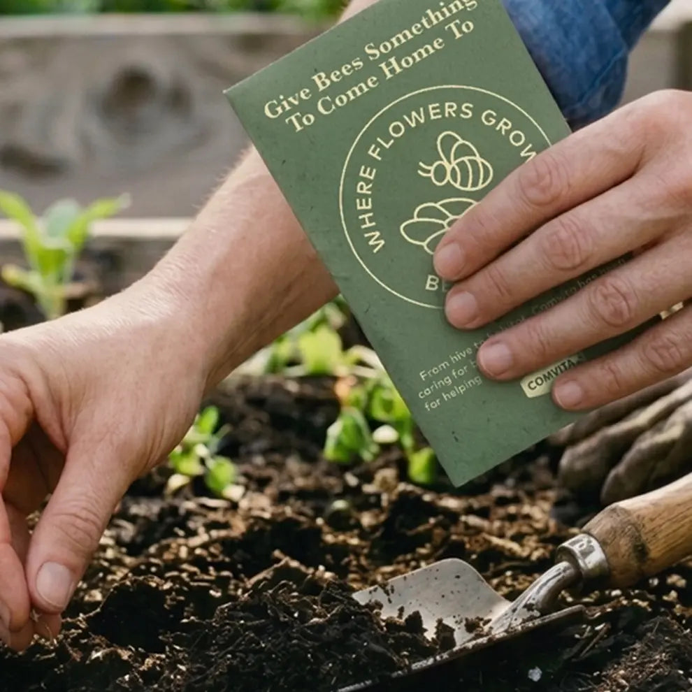 World Bee Month Gift Box