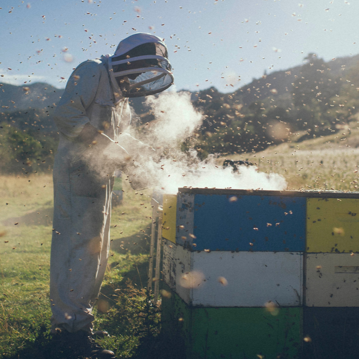 beekeeper with bees
