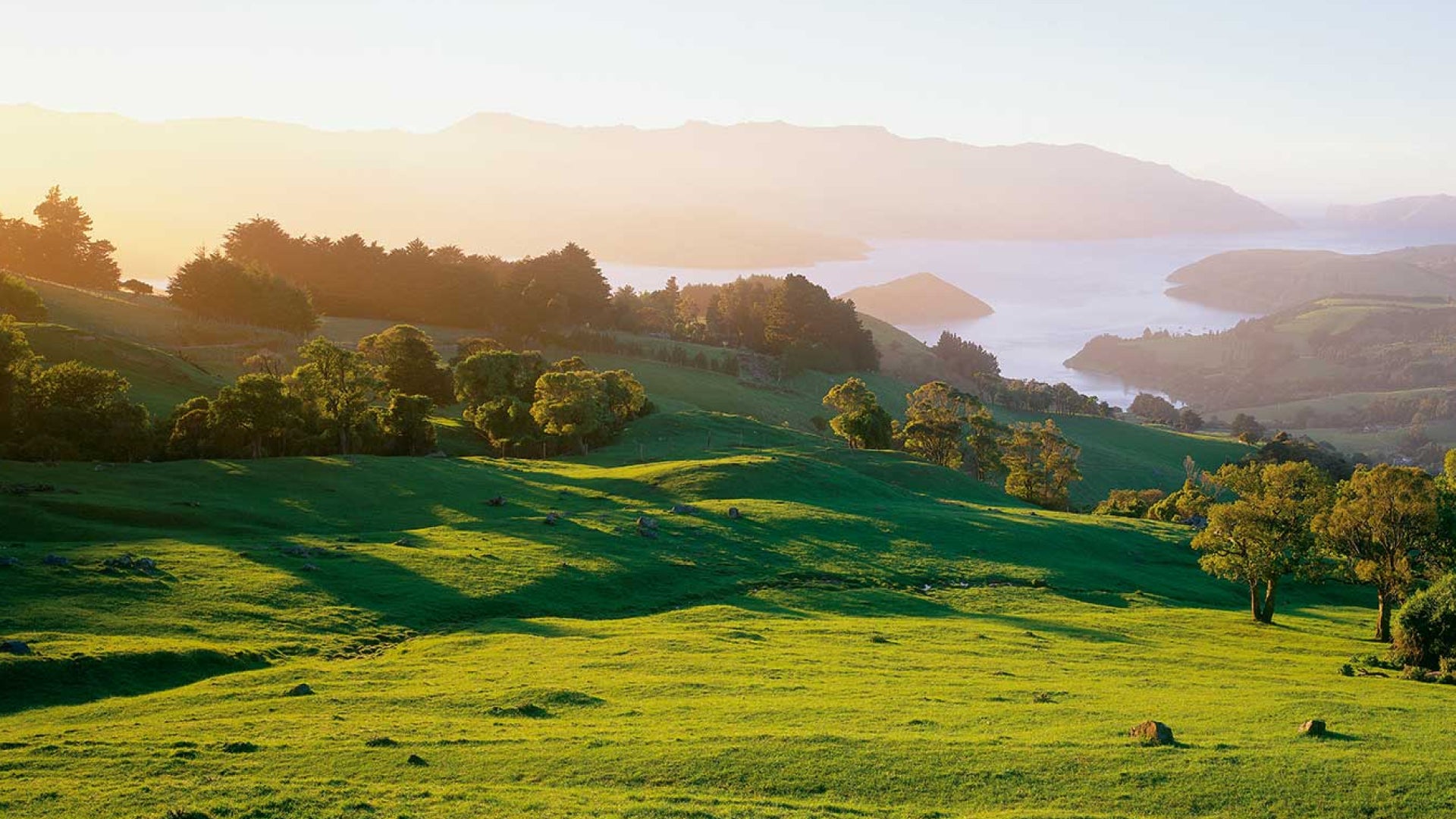 green plains with mountains