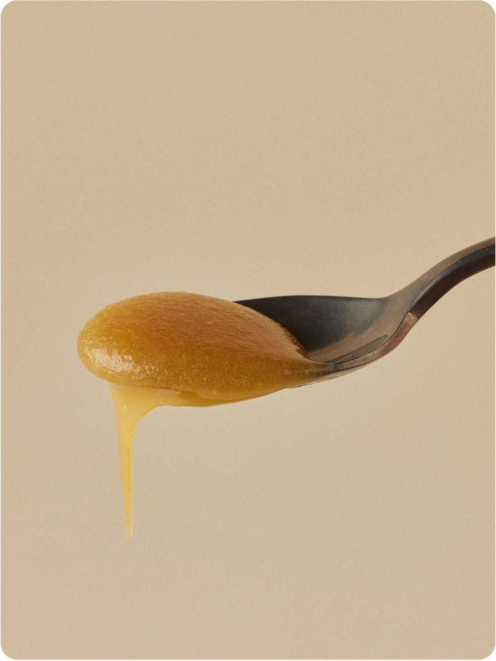 umf 5 manuka honey dripping from spoon